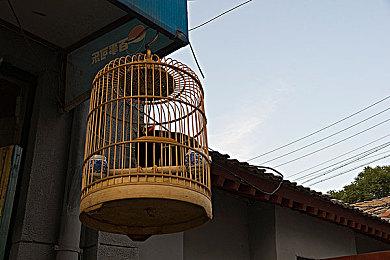 生存动作游戏《让它去死》续作预告 快来体验搜打撤